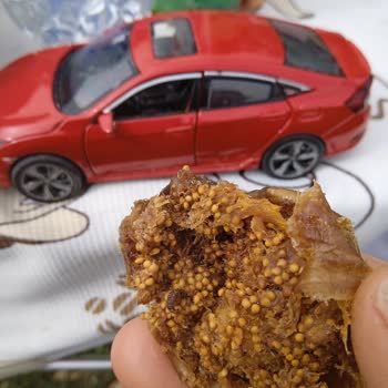 Amigo Dalından Kuru İncir 250gr İncirler Kurtlu