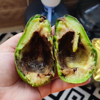 Şok Marketler Taze Olmayan Ürünler Ve Hayal Kırıklığı