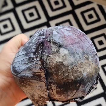 Şok Marketler Taze Olmayan Ürünler Ve Hayal Kırıklığı