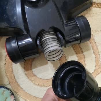 Heifer Dik Süpürge Başlığı Kırıldı