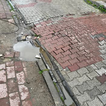Fatih Belediyesi Mahalledeki Çökükler Ve Su Sızıntılarına Dikkat!