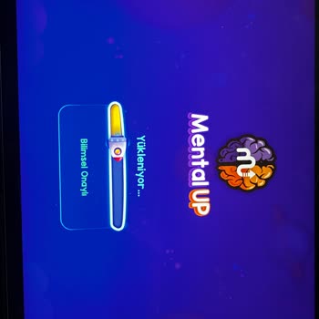 Mental Up 0010 Hata Kodu