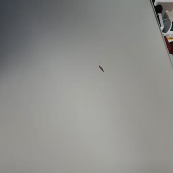 IKEA Mağdur Ediyor. Sıkıştırılmış Sunta Kullanan Firma