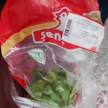 Şenpiliç Tavuğun İç Organları, Kılları Ve Dışkısı Duruyor