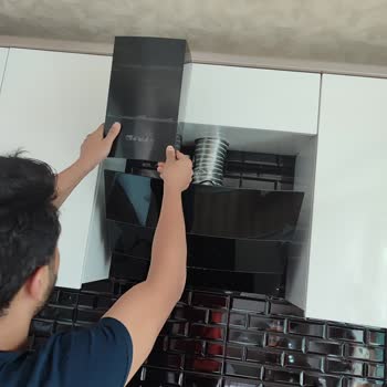 Alveus Ankastre Kurulumunda Yaşanan Sorunlar Ve Beklentiler