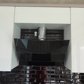 Alveus Ankastre Kurulumunda Yaşanan Sorunlar Ve Beklentiler