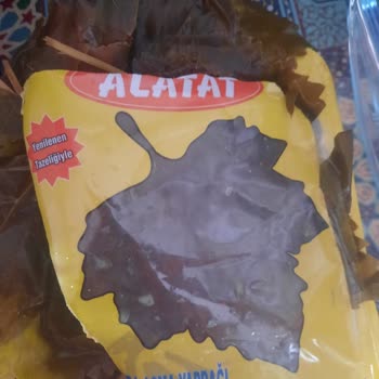 Alatat Salamura Yaprak Beklediğimiz Kalitede Değildi
