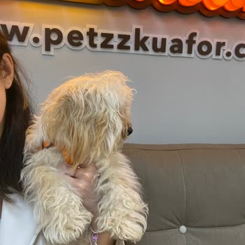 Petzz Kuaför Makas Tıraşı Yerine Makine Tıraşı