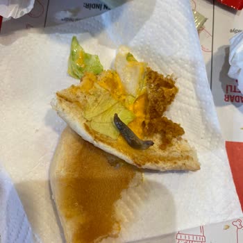 KFC Zinger Burger İçinden Çıkan Böcek