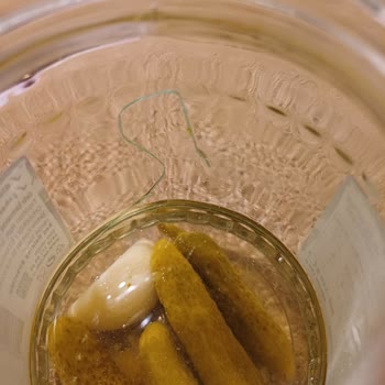 Tat Gıda Tat Marka Kornişon Turşunun İçinden Plastik Parça Çıktı.