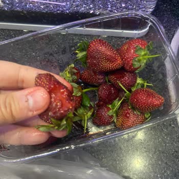 Barış Gross Market Marketten Alınan Ürünün Kalitesizliği Hakkında Müşteri Şikayeti