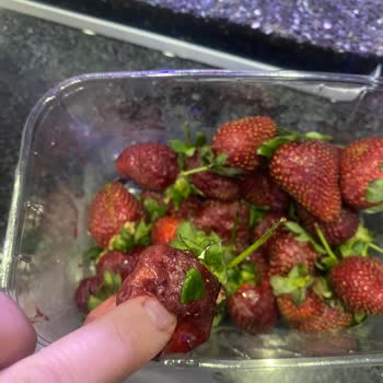 Barış Gross Market Marketten Alınan Ürünün Kalitesizliği Hakkında Müşteri Şikayeti