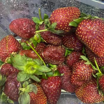 Barış Gross Market Marketten Alınan Ürünün Kalitesizliği Hakkında Müşteri Şikayeti