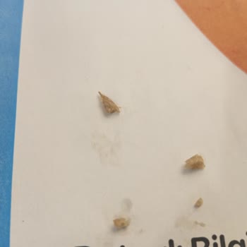 Usta Dönerci Özensiz Paketleme Ve Pis Sunum