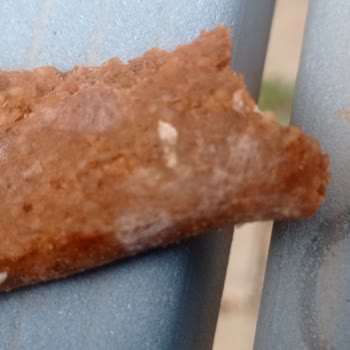 A101 Çokça Marka Çiğköfte Küflenmişti