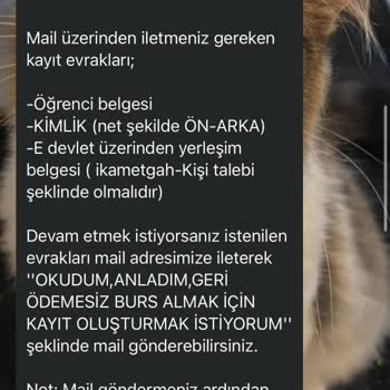 Öğrenci İşlerim Burs