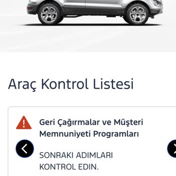 Ford Türkiye Global Anlamda Yardımcı Olmuyor