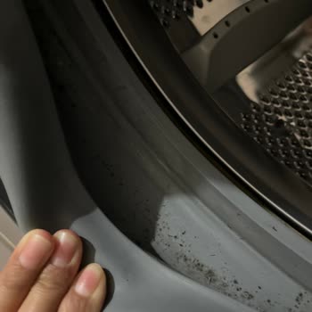 Vestel Çamaşır Makinesi Körük Lastik Küf Sorunu