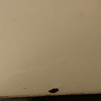 Siemens Çamaşır Makinesi Paslanma