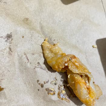 Usta Dönerci Yemek Siparişi Sorunu