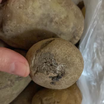 A101 Kapıda Siparişimdeki Pişmanlık