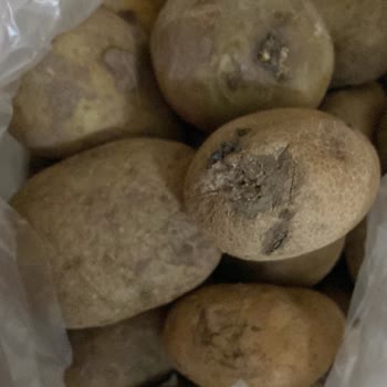 A101 Kapıda Siparişimdeki Pişmanlık