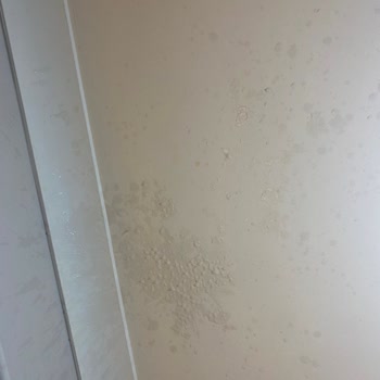 Lalezen Home Çamaşır Suyu Kabı