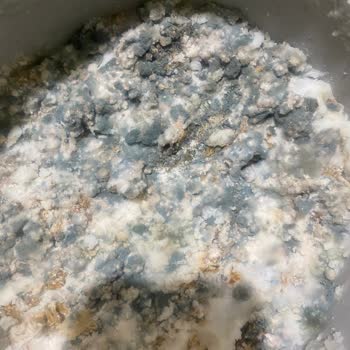 Arçelik Buzdolabı Bozuk/ Servis Gelmiyor