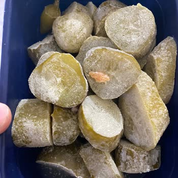 Arçelik Buzdolabı Bozuk/ Servis Gelmiyor