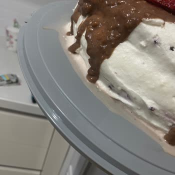 Siemens Ev Aletleri Soğutma Sorunu: Buzdolabı Beklentileri Karşılamıyor