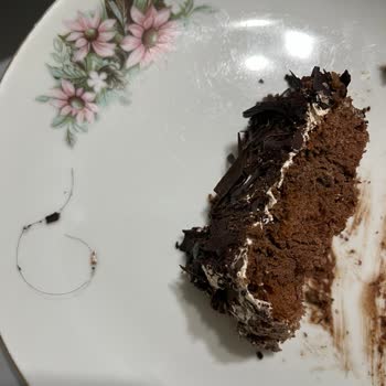 Özsüt Pastadan Kıl Çıktı