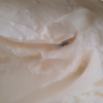 İçim Süt ve Süt Ürünleri Labne Peynir Böcek Çıktı