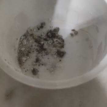 Kanz Temizlik Ürünleri Toz Deterjanın İçinde Taş Bulunmakta!