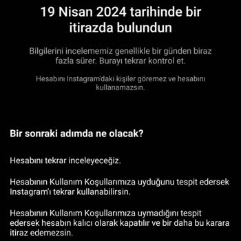 Instagram Hesabım İncelemeye Alındı, Erişim Sorunu Ve Çözüm Arayışı!