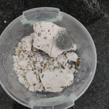 Bosch Marka Buzdolabında Ürünler 1 Haftada Küfleniyor