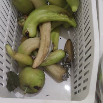 Bosch Marka Buzdolabında Ürünler 1 Haftada Küfleniyor