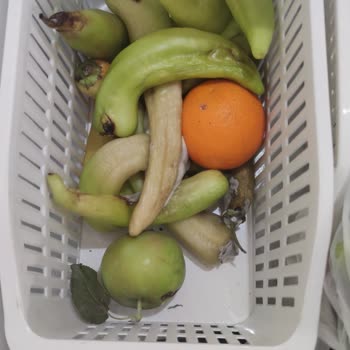 Bosch Marka Buzdolabında Ürünler 1 Haftada Küfleniyor