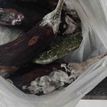 Bosch Marka Buzdolabında Ürünler 1 Haftada Küfleniyor