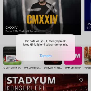 Passolig Siteye Giriş Yaparken Hata Veriyor