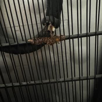 Beko Benim İçin Pişmanlık...😞