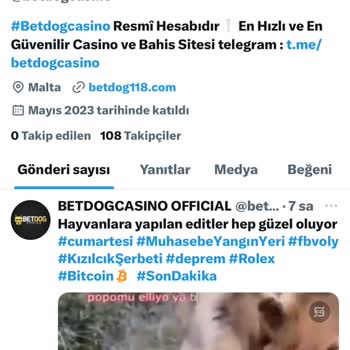 Betdog Hizmet Kalitesinde Hayal Kırıklığı