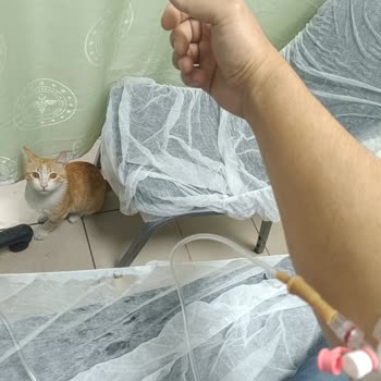 AJet (Anadolu Jet) Müşteri Hizmetleri Sorunları Ve Seyahat Zorlukları