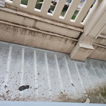 Sinpaş Altınoran'da Mahremiyet İhlali Ve Yönetim Sorunları