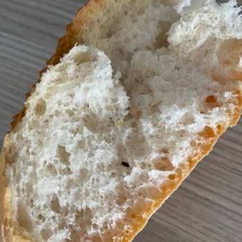 BİM'den Aldığım Ekmekten Böcek Çıktı!