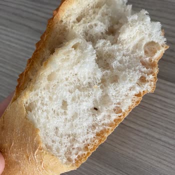 BİM'den Aldığım Ekmekten Böcek Çıktı!