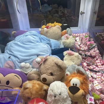 Joy Park Oyuncak Makinelerindeki Sıkıntılar