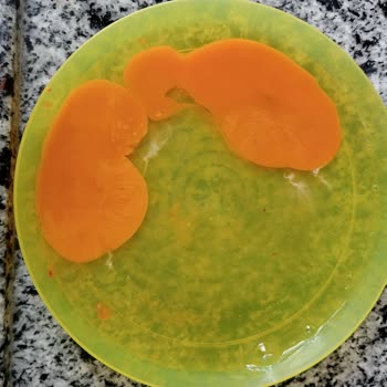 Raya Organik Kokmuş Yumurta İle Pazar'a Girmek!