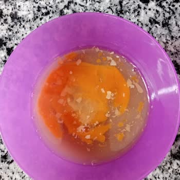 Raya Organik Kokmuş Yumurta İle Pazar'a Girmek!