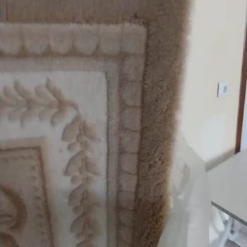 Bulut Halı Yıkama (İstanbul) Halı Yıkama Fabrikası