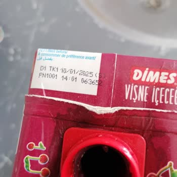 Küflü Dimes Suyu İçmeyin